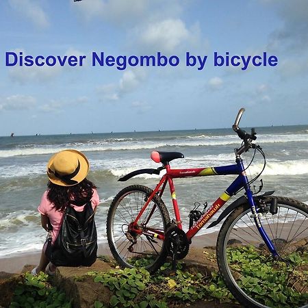 Villa Taprobane Negombo Buitenkant foto